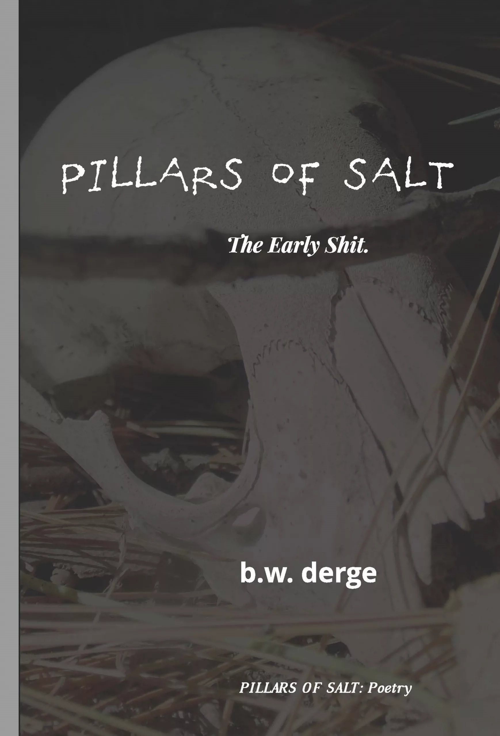 Books 1-3 Cover Pillars of Salt: The Early Shit by BW Derge (2004-2006)