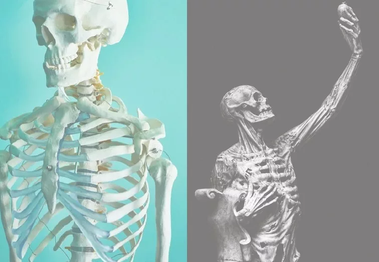 Eternity has time for every possibility ; image: skeletons