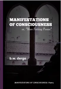 Manifestations of Consciousness or More Fucking Poems cover