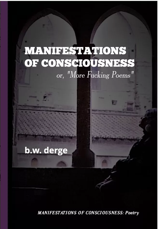 Manifestations of Consciousness or More Fucking Poems cover