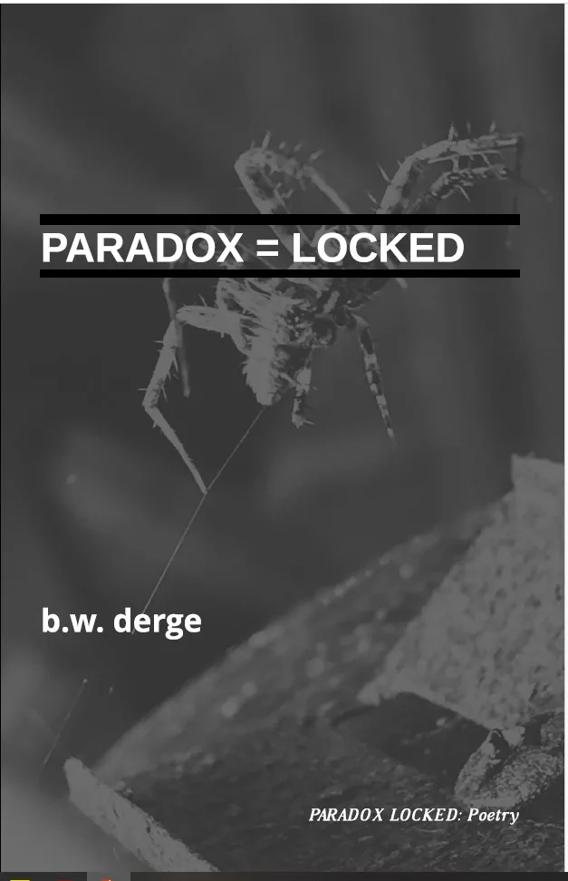 Paradox Locked - poetry image: book cover with spider