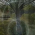 In another iteration of the universe - man in the woods image generated by AI