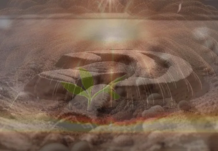 BWDerge.com Images - A Poem from the Unknown - 1 Cold Dirt Under the Neon Sun - From The Unknown