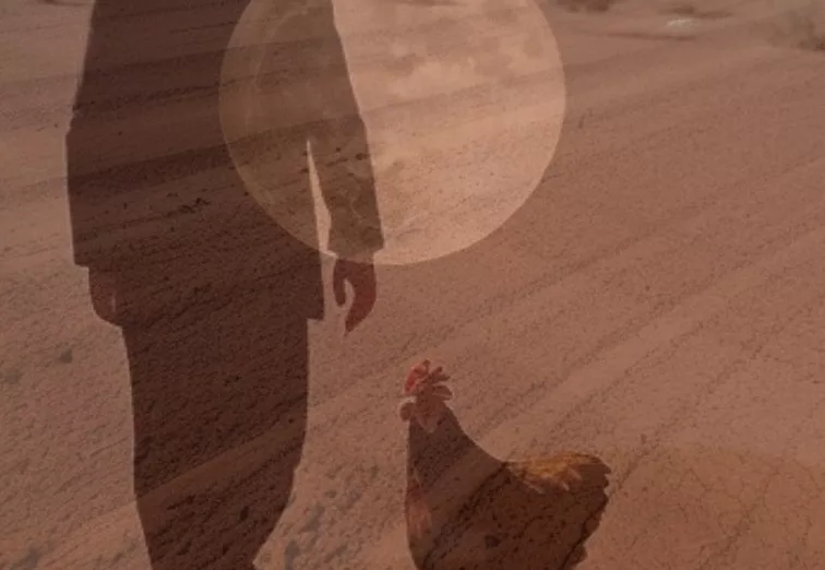 walking on mars with a chicken - created with AI - another paradigm of gravitational material