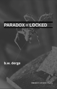 Paradox Locked Book Cover by BW Derge