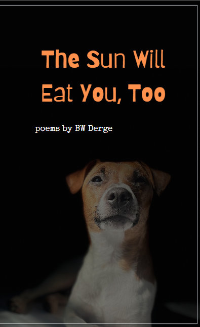 The Sun Will Eat You Too Cover by BW Derge