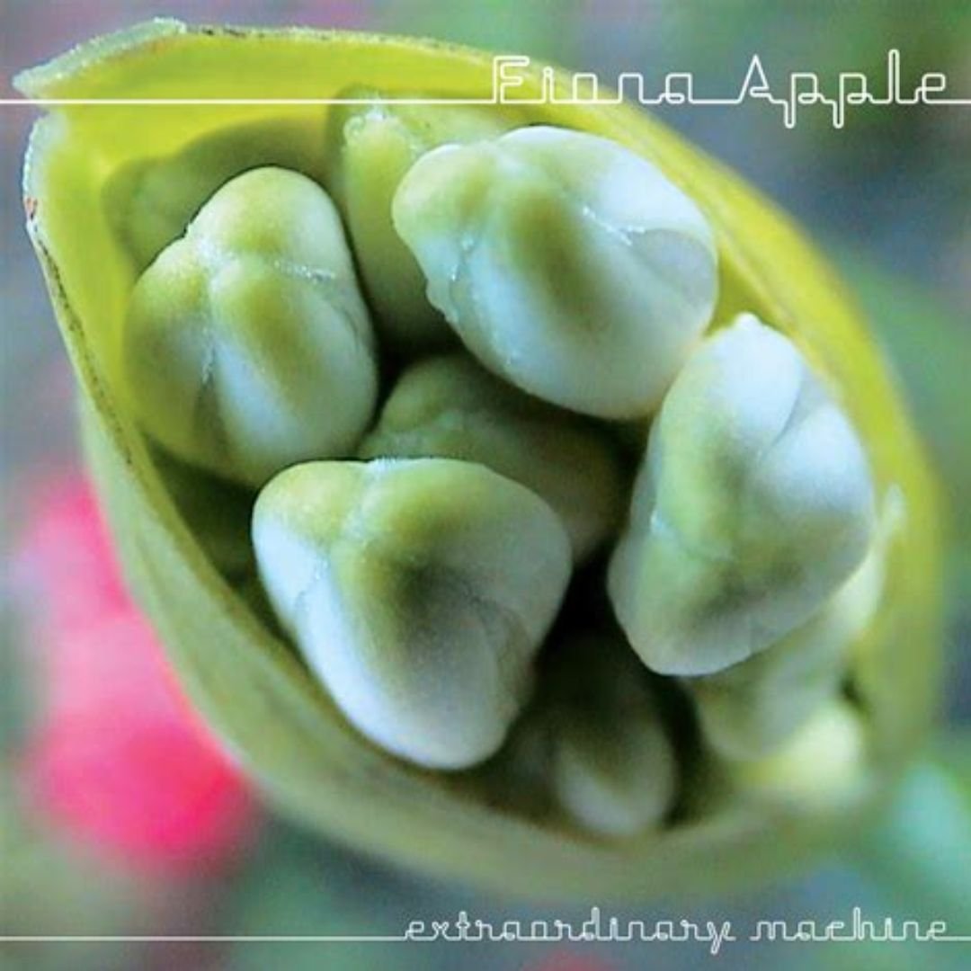 Fiona Apple Songs Extraordinary Machine Album Cover