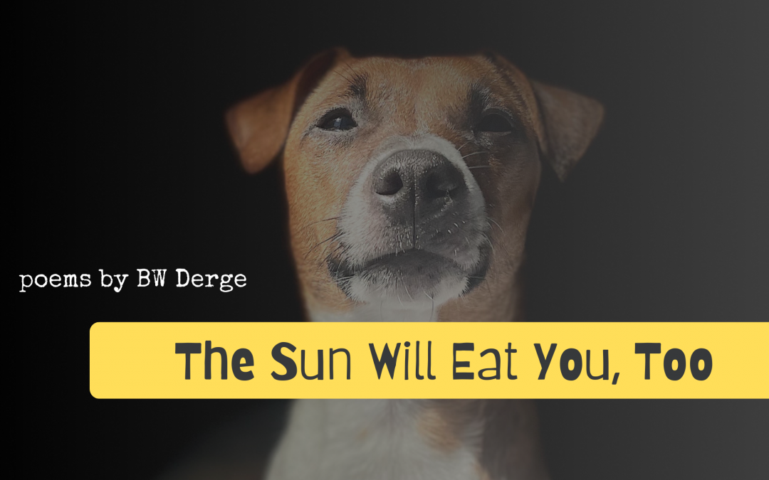 New Book “The Sun Will Eat You Too” – 2024 Gift for a Poetry Lover