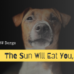 The Sun Will Eat You Too - best 2024 gift for a poetry lover