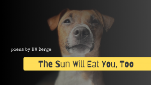 The Sun Will Eat You Too - best 2024 gift for a poetry lover