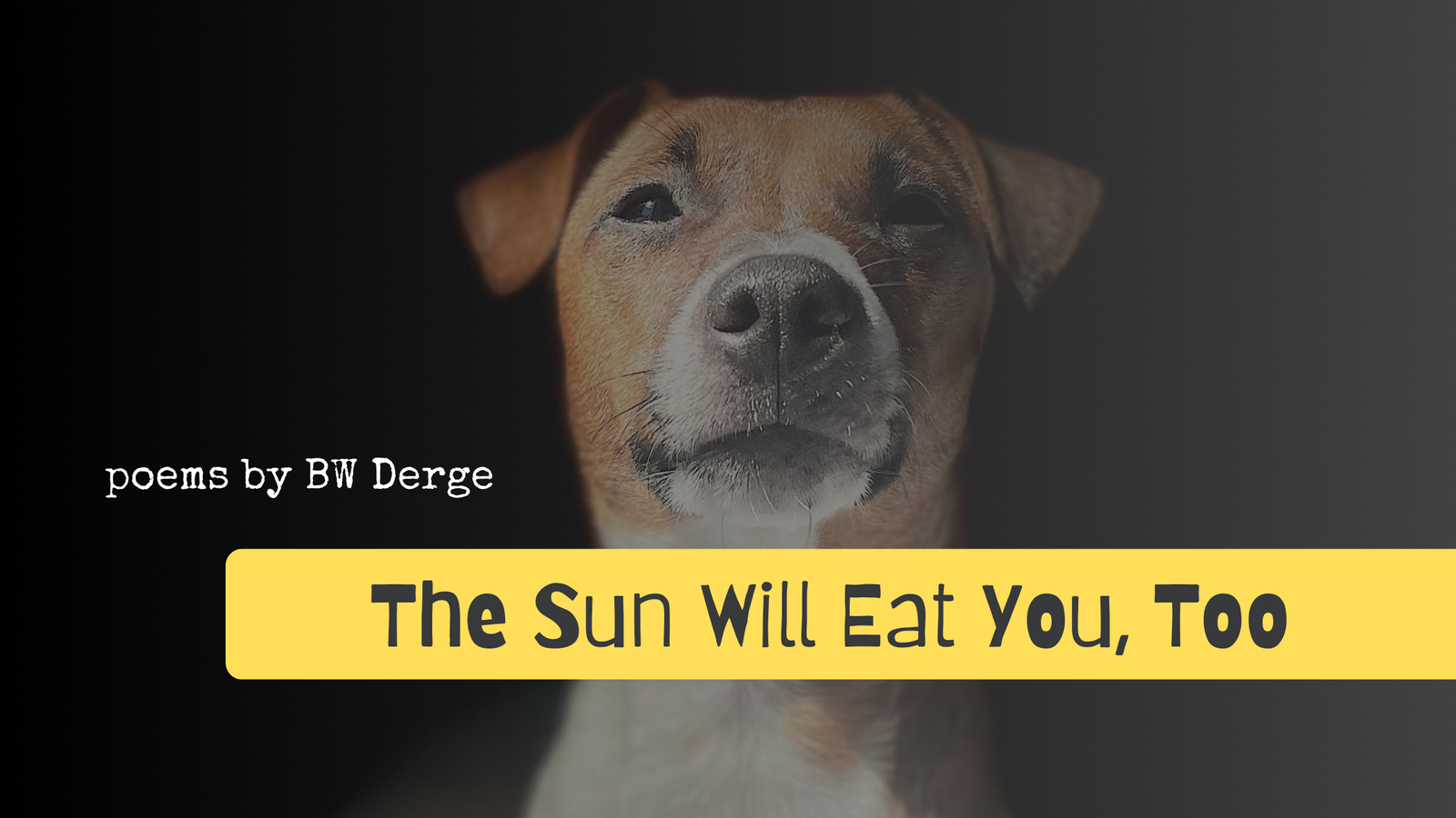 New Book “The Sun Will Eat You Too” – 2024 Gift for a Poetry Lover