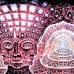 Tool - Alex Grey - 10,000 days - is tool in the rock and roll hall of fame?