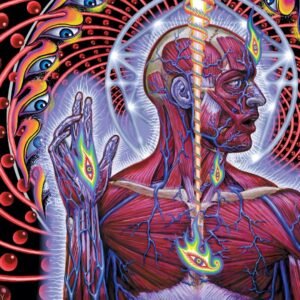 tool - lateralus Top Albums by the Band Tool - Lateralus